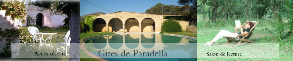 Location de voitures